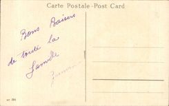 Fleurs Heureux Anniversaire - CPA 