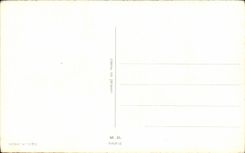 Fleurs Bonne Fete Papa - CPA 