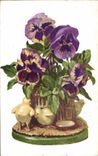 Fleurs Pensee - Pansy - CPA 