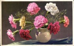 Fleurs Carnations - CPA 