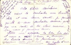 Fleurs Carnations - CPA 