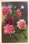Fleurs Carnations - CPA 