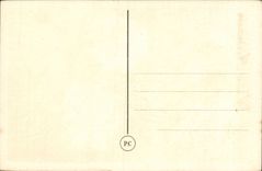 Fleurs Carnations - CPA 