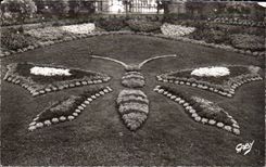 Avranches - jardin botAnico - la mariposa de la mariposa - CPA