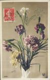 Fleurs Oeillet - Carnation - Bonne Fete - CPA 