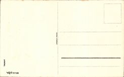 Fleurs Oeillet - Carnation - Bonne Fete - CPA 