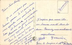 Fleurs Oeillet - Carnation - Heureux Anniversaire - CPA 