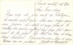 Fleurs Oeillet - Carnation - CPA 