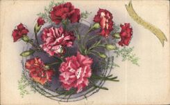 Fleurs Oeillet - Carnation - Bonne Fete - CPA 