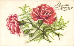 Fleurs Oeillet - Carnation - Bonne Annee - CPA 