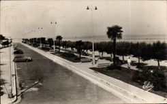 Arcachon - Le Nouveau Boulevard Promenade - CPA 