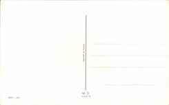 Fleurs Oeillet - Carnation - CPA 