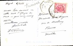 CPSM Tunisia Sfax the forest of the olive-trees