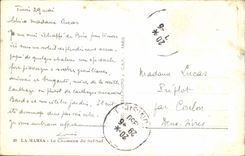 CPSM Tunisia Marsa the camel of Saf Saf