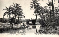 CPA Tunisie Gabes Un coin d oasis