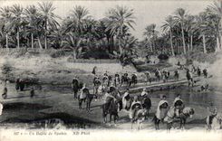 CPA Tunisie Un defile de spahis Militaria