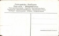 CPA Fantaisie Fleurs Souvenirs affectueux