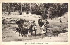 CPA Tunisie Gabes Passage de l oued Chameau Ane Donkey Camel