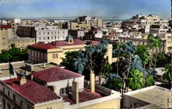 CPA Tunisie Tunis Vue generale