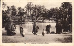 CPA Tunisie Gabes Oasis de Teboulbou