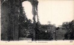 CPA Tunisie Tunis La Mida Belevedere