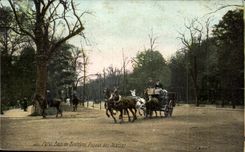 CPA Paris Bois de Boulogne Avenue des Acacias