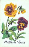 Fleurs Pensee - Pansy - CPA 