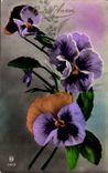 Fleurs Pensee - Pansy - Bonnee Annee - CPA 