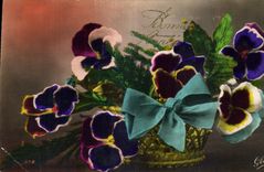 Fleurs Pensee - Pansy - Bonne Annee - CPA 