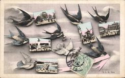 Paris - 1 - Souvenir - Bird - birds - CPA