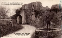 Layered branches - Gate Saint Jean - CPA
