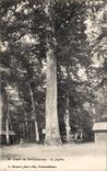 CPA Fontainebleau Foret Le Jupiter