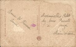 Festivals - Wishes - Happy New Year - houx - holly - bird - bird - thought - pansy - CPA