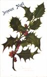 Fetes - Voeux - Joyeux Noel - houx - holly - CPA 