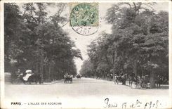 CPA Paris L allee des Acacias