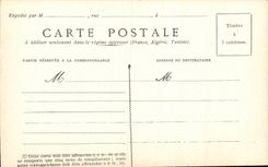 Festivals - Wishes - Happy New Year - houx - holly insects - CPA