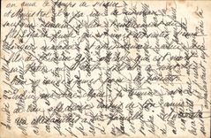 Fleur Oeillet - Carnation - papillon - butterfly - CPA 