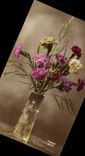 Fleur Oeillet - Carnation - CPA 