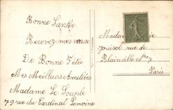 Fleur Oeillet - Carnation - Bonne Fete - CPA 