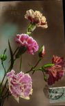 Fleur Oeillet - Carnation - Bonne Fete - CPA 