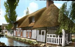 Weak Roses - Thatched cottage Norman - CPA