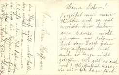 Fleurs Oeillet - Carnation - Bonne Annee - CPA 