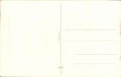 Fleurs Oeillet - Carnation - Heureux Anniversaire - CPA 