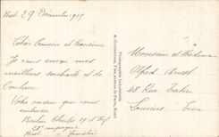 Fleurs Oeillet - Carnation - Bonne Annee - Papillon - Butterfly - CPA 