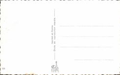 Fleurs Oeillet - Carnation - CPA 