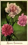 Fleurs Oeillet - Carnation - Heureux Anniversaire - CPA 