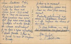 Fleurs Oeillet - Carnation - Bonne Annee - CPA 