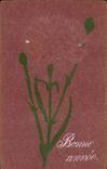 Fleurs Oeillet - Carnation - Bonne Annee - CPA 