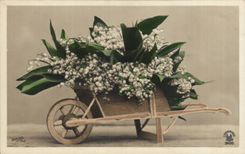 Fleurs Muguet - Lily of the Valley - brouette - souvenir - CPA 