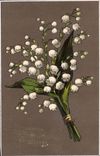 Fleurs Muguet - Lily of the Valley - Porte Bonheur - CPA 
